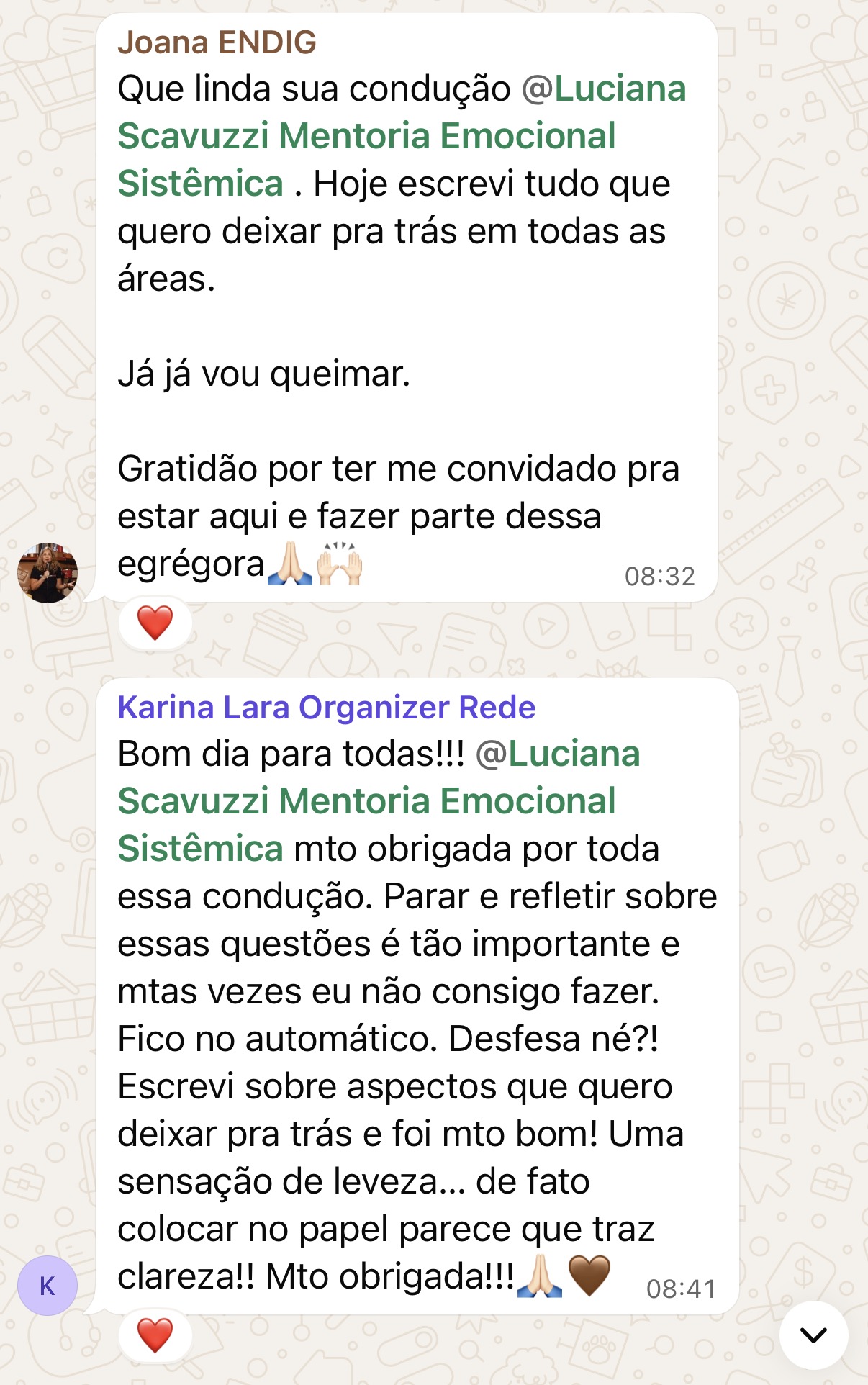 Depoimentos Joana e Karina